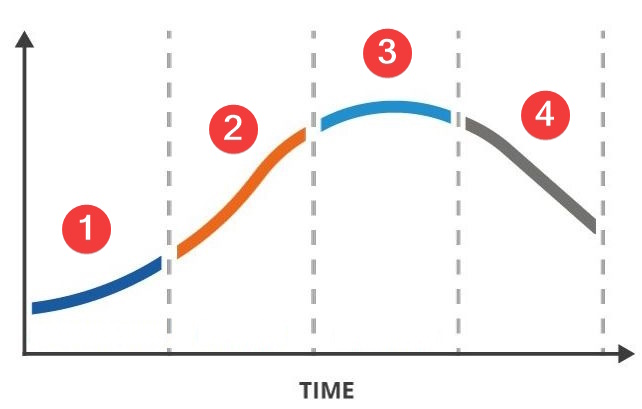 Life Cycle